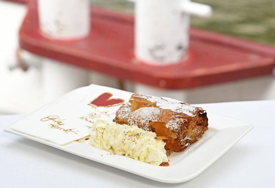 Vienna: Scenic Canal Cruise With Optional Apple Strudel - Good To Know