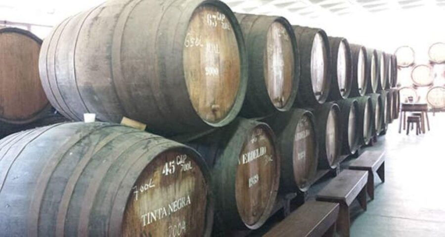 Visiting Local Vineyard With Wine Tasting & Lunch Included