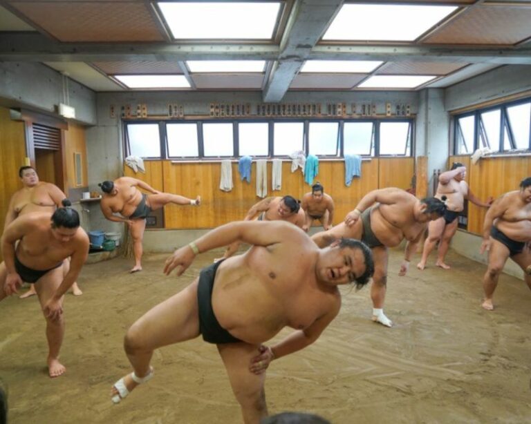 [W/ Sumo Lunch] Tokyo Sumo Morning Practice Tour in Ryogoku