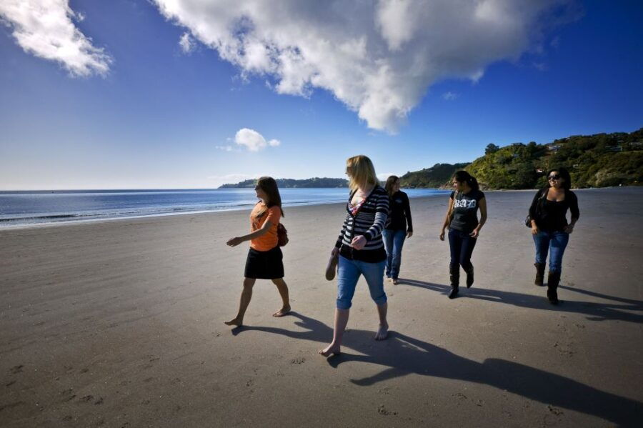 Waiheke Island: Ferry & Hop-On Hop-Off Explorer Bus Tickets - Good To Know