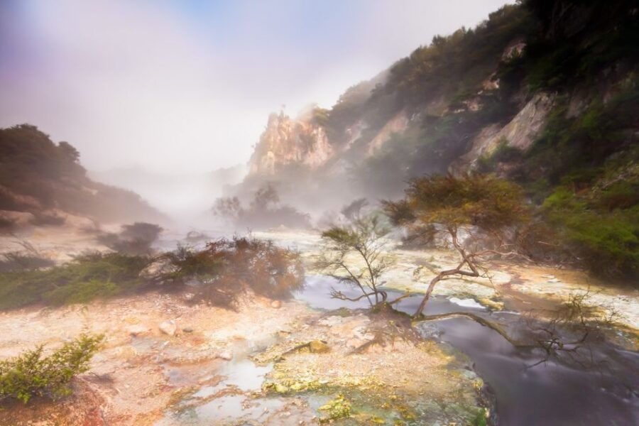 Waimangu Volcanic Valley Morning Tour - Good To Know