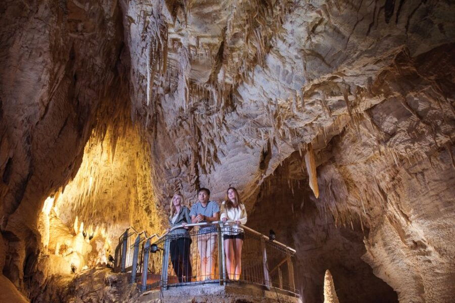 Waitomo: Ruakuri Cave 1.5 Hour Guided Tour - Good To Know