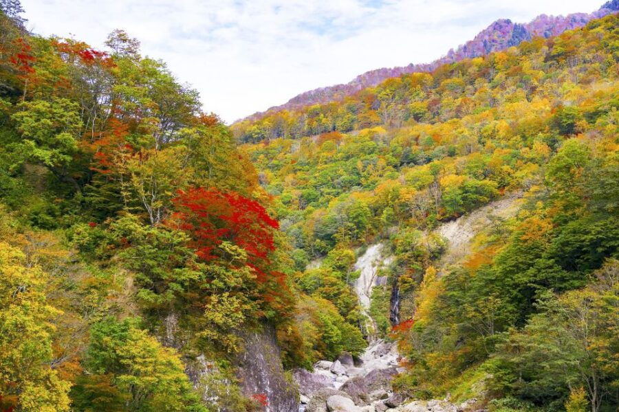 Welcome to Nagano: Private Tour With a Local - Activity Details