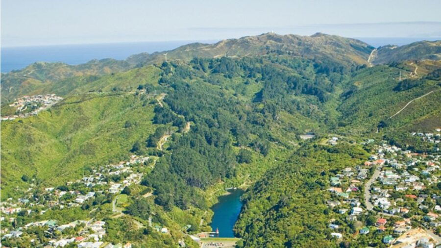 Wellington: Scenic Harbour Helicopter Flight - Good To Know