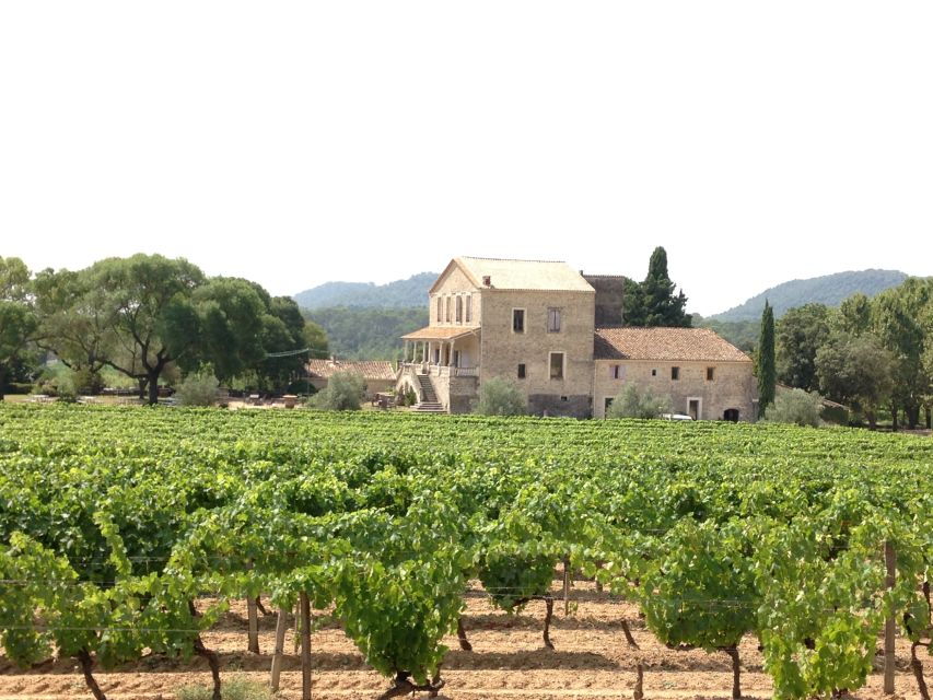 Wine and Food Tour to Pic Saint-Loup