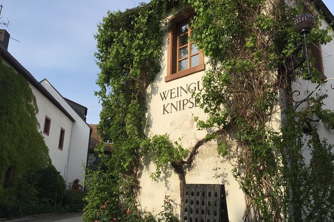 Wine Tour to the Pfalz "The Tuscany of Germany" to Taste Cracking Red Wines