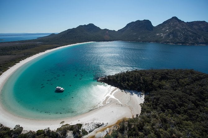 Wineglass Bay Cruise From Coles Bay - Positive Customer Feedback and Hosts Response